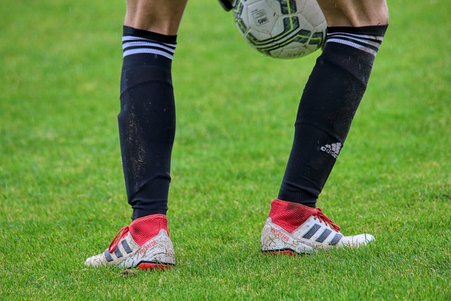 对维罗纳的 对维罗纳的