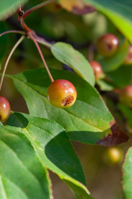 赛中国队的 赛中国队的