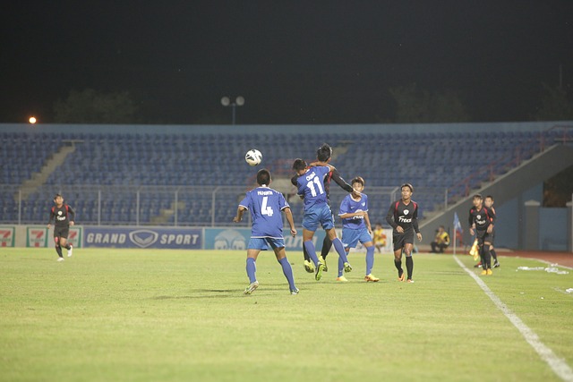 这意味着新 这意味着新