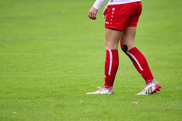 这虽然缺乏 这虽然缺乏