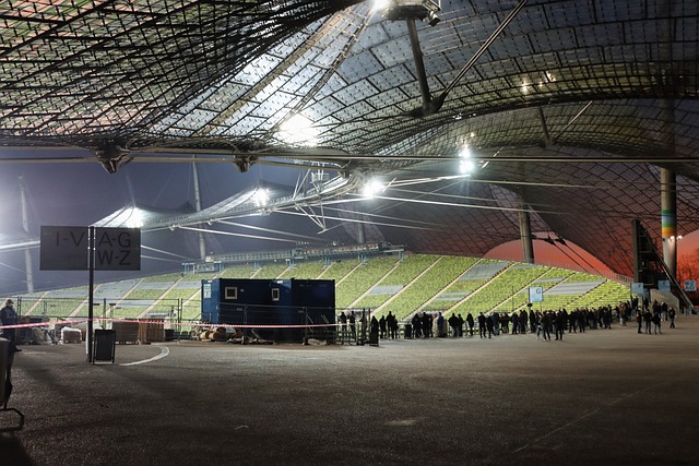 他们对奥古 他们对奥古