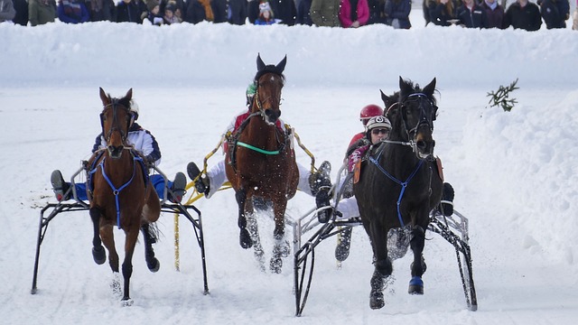 驳岁月的见 驳岁月的见