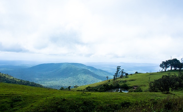 皇马头号射 皇马头号射