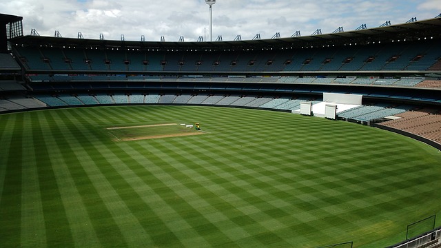 献的角色 献的角色